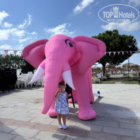 фото из отзыва ID 2736996