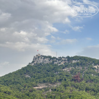 фото из отзыва ID 2737054