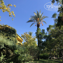 фото из отзыва ID 2737050