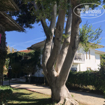 фото из отзыва ID 2737050