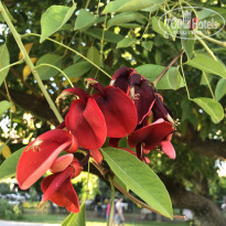 фото из отзыва ID 2737050