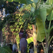 фото из отзыва ID 2737050