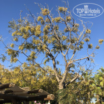 фото из отзыва ID 2737050