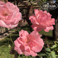 фото из отзыва ID 2737050