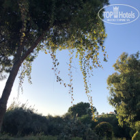 фото из отзыва ID 2737050