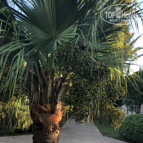 фото из отзыва ID 2737050