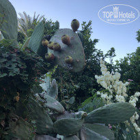 фото из отзыва ID 2737050