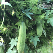 фото из отзыва ID 2737050