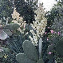 фото из отзыва ID 2737050