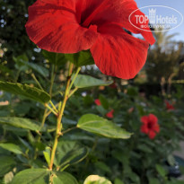 фото из отзыва ID 2737050