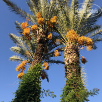 фото из отзыва ID 2737050