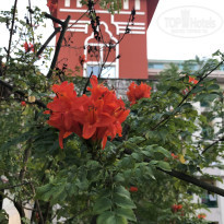 фото из отзыва ID 2737050