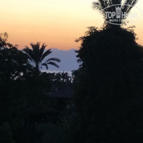 фото из отзыва ID 2737050