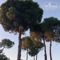 фото из отзыва ID 2737050