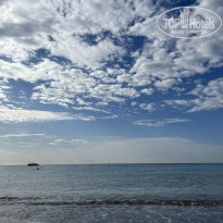 фото из отзыва ID 2736698