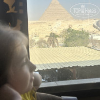 фото из отзыва ID 2737099