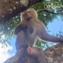 фото из отзыва ID 2737103