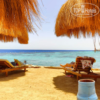 фото из отзыва ID 2737110