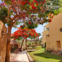 фото из отзыва ID 2737110