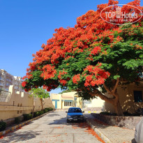 фото из отзыва ID 2737110