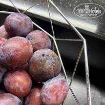 фото из отзыва ID 2737117