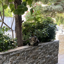 фото из отзыва ID 2737119