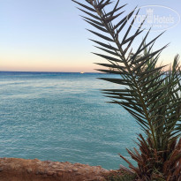 фото из отзыва ID 2737131