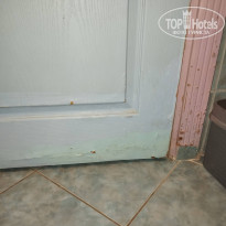 фото из отзыва ID 2737134