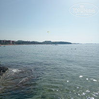 фото из отзыва ID 2737141