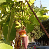 фото из отзыва ID 2737141