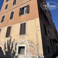 фото из отзыва ID 2737136