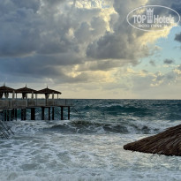 фото из отзыва ID 2734419