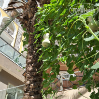 фото из отзыва ID 2737150