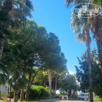 фото из отзыва ID 2737151