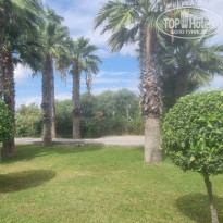 фото из отзыва ID 2737151