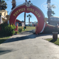 фото из отзыва ID 2737174