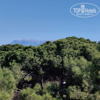 фото из отзыва ID 2737174