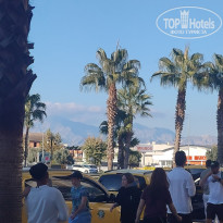 фото из отзыва ID 2737174