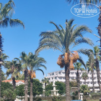 фото из отзыва ID 2737174