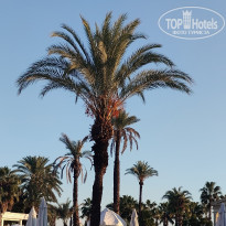 фото из отзыва ID 2737174