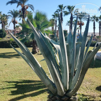 фото из отзыва ID 2737174