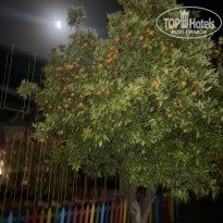 фото из отзыва ID 2737178