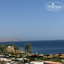 фото из отзыва ID 2737187