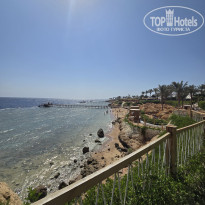 фото из отзыва ID 2737140