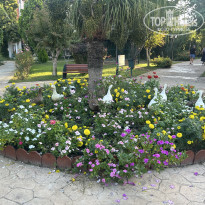 фото из отзыва ID 2737188