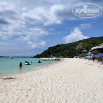 фото из отзыва ID 2737164