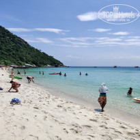 фото из отзыва ID 2737164