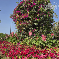 фото из отзыва ID 2737208