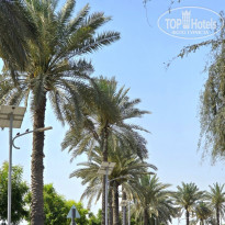 фото из отзыва ID 2737208