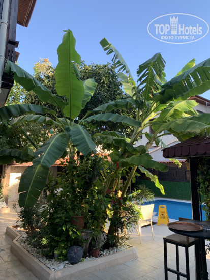 New photos from tourists Castle Old Town